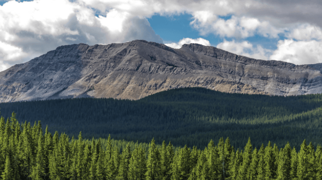 Small Business Bookkeeper vs Accountant - True North Accounting – Calgary Small Business Accountants