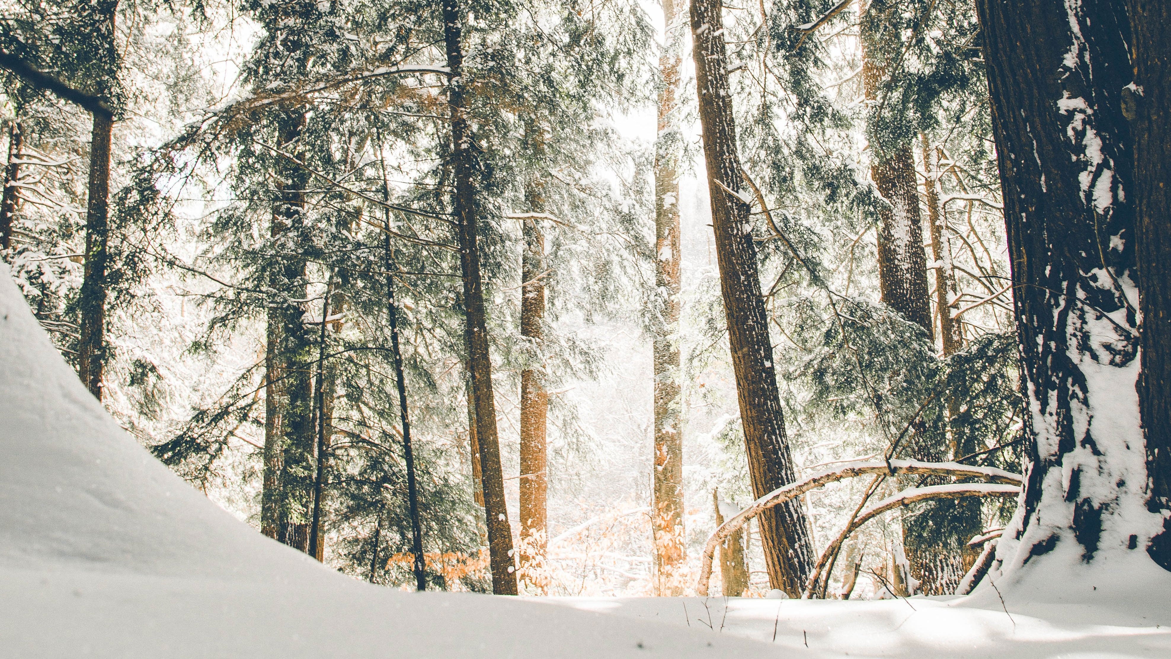 Canada Personal Tax Update - True North Accounting – Calgary Small Business Accountants