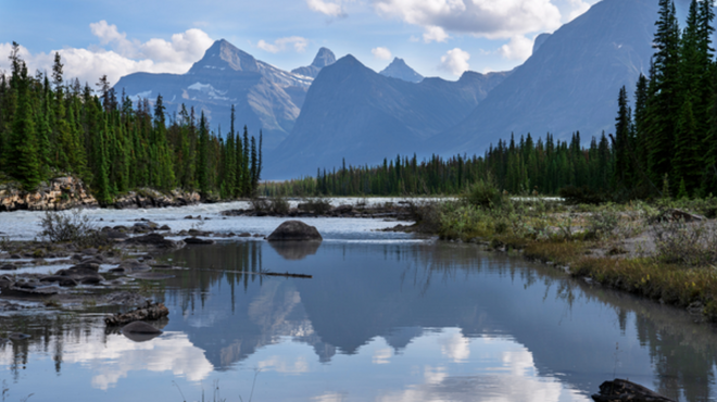 Dissolving a Corporation - True North Accounting – Calgary Small Business Accountants