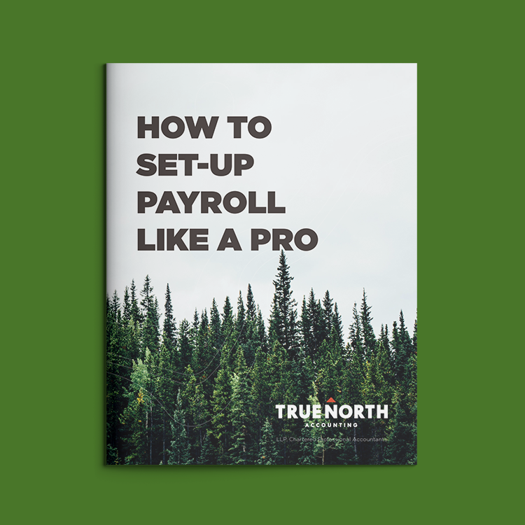 TNA-Inbound-PremiumContent-Ebook-Dec2022-PayrollEbookGraphic-01