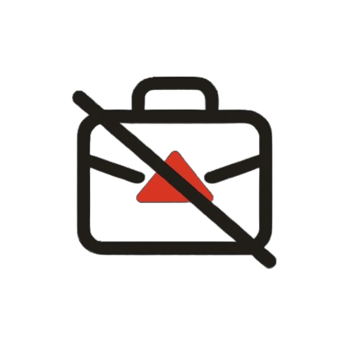 True North Accounting No Job Icon